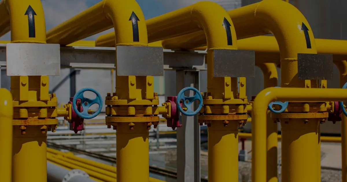Chemical Processing industry sealing applications