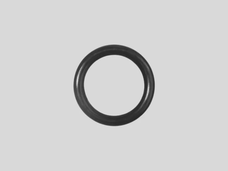 HNBR O-ring product photo